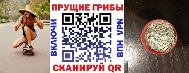 Псилоцибиновые грибы GOLDEN TEACHER  KRAKEN ссылки  Нерчинск  как найти закладки 