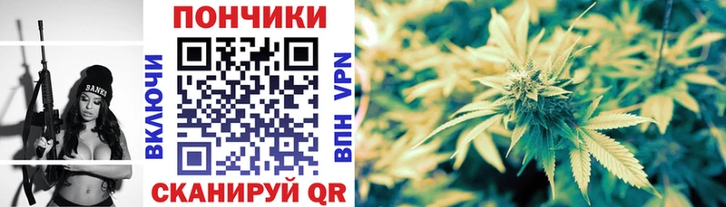 где найти   ОМГ ОМГ ССЫЛКА  Каннабис гибрид  Нерчинск 